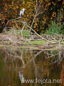 Nombre del archivo=101030_016.jpg
Tamaño del archivo=245Kb
Dimensiones=375x500
Fecha añadida=03 de Enero de 13 101030_016.jpg