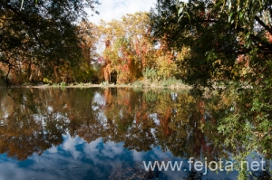 Nombre del archivo=101030_024.jpg
Tamaño del archivo=234Kb
Dimensiones=500x332
Fecha añadida=03 de Enero de 13 101030_024.jpg