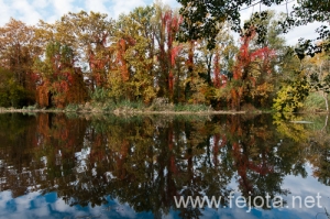 Nombre del archivo=101030_026.jpg
Tamaño del archivo=233Kb
Dimensiones=500x332
Fecha añadida=03 de Enero de 13 101030_026.jpg