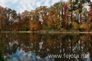 Nombre del archivo=101030_029.jpg
Tamaño del archivo=207Kb
Dimensiones=500x332
Fecha añadida=03 de Enero de 13 101030_029.jpg