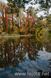 Nombre del archivo=101030_031.jpg
Tamaño del archivo=227Kb
Dimensiones=332x500
Fecha añadida=03 de Enero de 13 101030_031.jpg