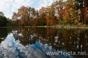 Nombre del archivo=101030_032.jpg
Tamaño del archivo=235Kb
Dimensiones=500x332
Fecha añadida=03 de Enero de 13 101030_032.jpg