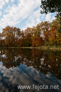 Nombre del archivo=101030_033.jpg
Tamaño del archivo=191Kb
Dimensiones=332x500
Fecha añadida=03 de Enero de 13 101030_033.jpg