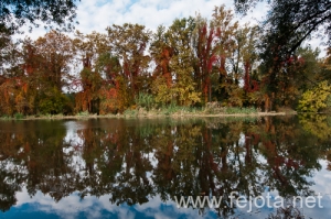 Nombre del archivo=101030_037.jpg
Tamaño del archivo=267Kb
Dimensiones=500x332
Fecha añadida=03 de Enero de 13 101030_037.jpg