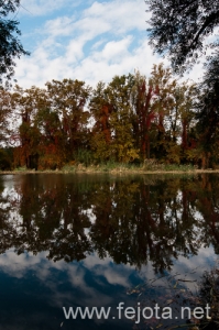 Nombre del archivo=101030_038.jpg
Tamaño del archivo=223Kb
Dimensiones=332x500
Fecha añadida=03 de Enero de 13 101030_038.jpg