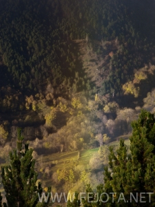 Nombre del archivo=101102_043.jpg
Tamaño del archivo=185Kb
Dimensiones=375x500
Fecha añadida=15 de Noviembre de 11 101102_043.jpg