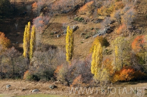 Nombre del archivo=101102_075.jpg
Tamaño del archivo=194Kb
Dimensiones=500x332
Fecha añadida=15 de Noviembre de 11 101102_075.jpg