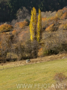 Nombre del archivo=101102_079.jpg
Tamaño del archivo=176Kb
Dimensiones=375x500
Fecha añadida=15 de Noviembre de 11 101102_079.jpg