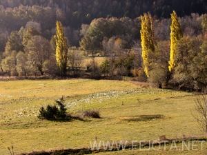 Nombre del archivo=101102_080.jpg
Tamaño del archivo=194Kb
Dimensiones=500x375
Fecha añadida=15 de Noviembre de 11 101102_080.jpg