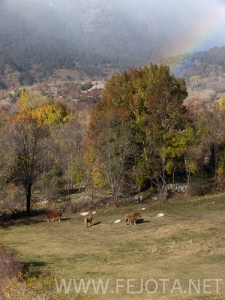 Nombre del archivo=101102_088.jpg
Tamaño del archivo=156Kb
Dimensiones=375x500
Fecha añadida=15 de Noviembre de 11 101102_088.jpg