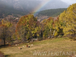 Nombre del archivo=101102_091.jpg
Tamaño del archivo=181Kb
Dimensiones=500x375
Fecha añadida=15 de Noviembre de 11 101102_091.jpg