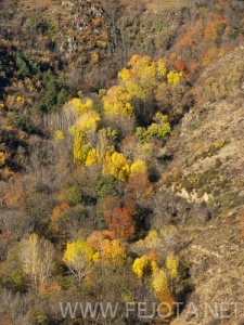 Nombre del archivo=101102_095.jpg
Tamaño del archivo=173Kb
Dimensiones=375x500
Fecha añadida=15 de Noviembre de 11 101102_095.jpg