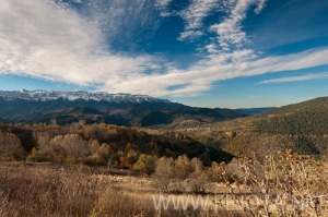 Nombre del archivo=101103_041.jpg
Tamaño del archivo=183Kb
Dimensiones=500x332
Fecha añadida=15 de Noviembre de 11 101103_041.jpg