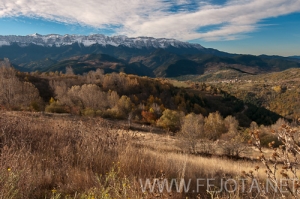 Nombre del archivo=101103_042.jpg
Tamaño del archivo=149Kb
Dimensiones=500x332
Fecha añadida=15 de Noviembre de 11 101103_042.jpg