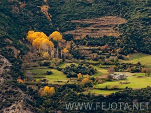 Nombre del archivo=101103_063.jpg
Tamaño del archivo=173Kb
Dimensiones=500x375
Fecha añadida=15 de Noviembre de 11 101103_063.jpg