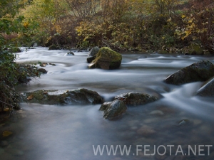 Nombre del archivo=101104_010.jpg
Tamaño del archivo=187Kb
Dimensiones=500x375
Fecha añadida=15 de Noviembre de 11 101104_010.jpg