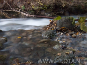 Nombre del archivo=101104_011.jpg
Tamaño del archivo=142Kb
Dimensiones=500x375
Fecha añadida=15 de Noviembre de 11 101104_011.jpg