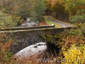 Nombre del archivo=101104_014.jpg
Tamaño del archivo=187Kb
Dimensiones=500x375
Fecha añadida=15 de Noviembre de 11 101104_014.jpg