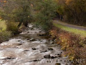 Nombre del archivo=101104_015.jpg
Tamaño del archivo=169Kb
Dimensiones=500x375
Fecha añadida=15 de Noviembre de 11 101104_015.jpg