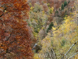 Nombre del archivo=101104_018.jpg
Tamaño del archivo=182Kb
Dimensiones=500x375
Fecha añadida=15 de Noviembre de 11 101104_018.jpg