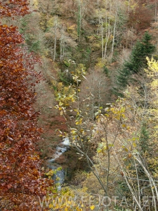 Nombre del archivo=101104_019.jpg
Tamaño del archivo=205Kb
Dimensiones=375x500
Fecha añadida=15 de Noviembre de 11 101104_019.jpg