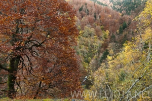 Nombre del archivo=101104_020.jpg
Tamaño del archivo=188Kb
Dimensiones=500x332
Fecha añadida=15 de Noviembre de 11 101104_020.jpg