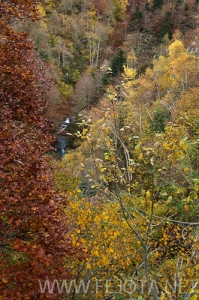 Nombre del archivo=101104_022.jpg
Tamaño del archivo=203Kb
Dimensiones=332x500
Fecha añadida=15 de Noviembre de 11 101104_022.jpg