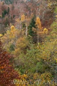 Nombre del archivo=101104_023.jpg
Tamaño del archivo=195Kb
Dimensiones=332x500
Fecha añadida=15 de Noviembre de 11 101104_023.jpg