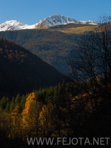 Nombre del archivo=101105_007.jpg
Tamaño del archivo=159Kb
Dimensiones=375x500
Fecha añadida=15 de Noviembre de 11 101105_007.jpg