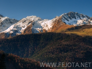 Nombre del archivo=101105_012.jpg
Tamaño del archivo=166Kb
Dimensiones=500x375
Fecha añadida=15 de Noviembre de 11 101105_012.jpg