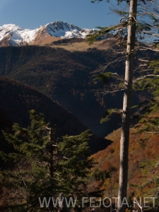 Nombre del archivo=101105_018.jpg
Tamaño del archivo=188Kb
Dimensiones=375x500
Fecha añadida=15 de Noviembre de 11 101105_018.jpg