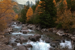 Nombre del archivo=101106_009.jpg
Tamaño del archivo=158Kb
Dimensiones=500x332
Fecha añadida=15 de Noviembre de 11 101106_009.jpg