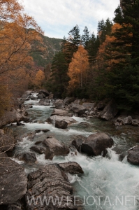 Nombre del archivo=101106_010.jpg
Tamaño del archivo=180Kb
Dimensiones=332x500
Fecha añadida=15 de Noviembre de 11 101106_010.jpg