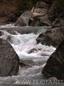 Nombre del archivo=101106_018.jpg
Tamaño del archivo=151Kb
Dimensiones=375x500
Fecha añadida=15 de Noviembre de 11 101106_018.jpg