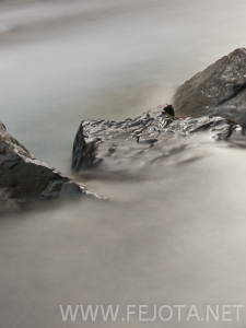 Nombre del archivo=101106_039.jpg
Tamaño del archivo=129Kb
Dimensiones=375x500
Fecha añadida=15 de Noviembre de 11 101106_039.jpg