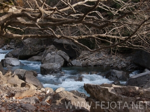 Nombre del archivo=101106_045.jpg
Tamaño del archivo=183Kb
Dimensiones=500x375
Fecha añadida=15 de Noviembre de 11 101106_045.jpg