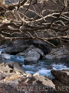 Nombre del archivo=101106_047.jpg
Tamaño del archivo=195Kb
Dimensiones=375x500
Fecha añadida=15 de Noviembre de 11 101106_047.jpg