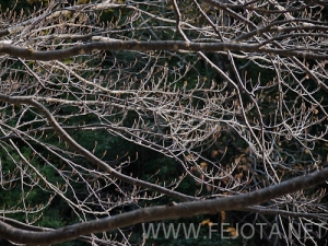 Nombre del archivo=101106_051.jpg
Tamaño del archivo=192Kb
Dimensiones=500x375
Fecha añadida=15 de Noviembre de 11 101106_051.jpg