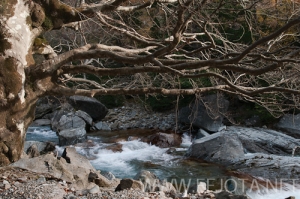 Nombre del archivo=101106_052.jpg
Tamaño del archivo=171Kb
Dimensiones=500x332
Fecha añadida=15 de Noviembre de 11 101106_052.jpg