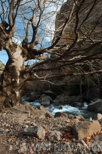 Nombre del archivo=101106_053.jpg
Tamaño del archivo=187Kb
Dimensiones=332x500
Fecha añadida=15 de Noviembre de 11 101106_053.jpg