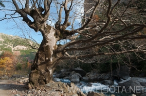 Nombre del archivo=101106_054.jpg
Tamaño del archivo=175Kb
Dimensiones=500x332
Fecha añadida=15 de Noviembre de 11 101106_054.jpg