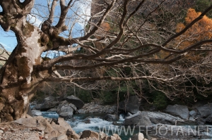 Nombre del archivo=101106_056.jpg
Tamaño del archivo=176Kb
Dimensiones=500x332
Fecha añadida=15 de Noviembre de 11 101106_056.jpg