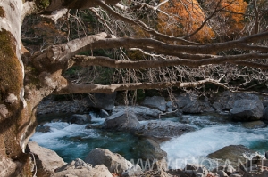 Nombre del archivo=101106_062.jpg
Tamaño del archivo=174Kb
Dimensiones=500x332
Fecha añadida=15 de Noviembre de 11 101106_062.jpg