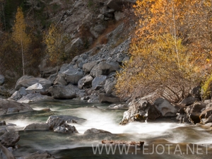 Nombre del archivo=101106_065.jpg
Tamaño del archivo=178Kb
Dimensiones=500x375
Fecha añadida=15 de Noviembre de 11 101106_065.jpg