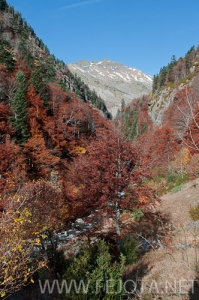 Nombre del archivo=101106_068.jpg
Tamaño del archivo=180Kb
Dimensiones=332x500
Fecha añadida=15 de Noviembre de 11 101106_068.jpg