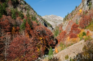 Nombre del archivo=101106_071.jpg
Tamaño del archivo=165Kb
Dimensiones=500x332
Fecha añadida=15 de Noviembre de 11 101106_071.jpg