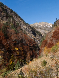 Nombre del archivo=101106_077.jpg
Tamaño del archivo=172Kb
Dimensiones=375x500
Fecha añadida=15 de Noviembre de 11 101106_077.jpg