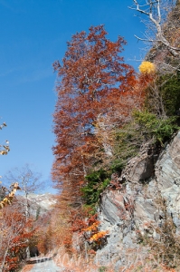 Nombre del archivo=101106_083.jpg
Tamaño del archivo=167Kb
Dimensiones=332x500
Fecha añadida=15 de Noviembre de 11 101106_083.jpg