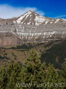 Nombre del archivo=101106_104.jpg
Tamaño del archivo=158Kb
Dimensiones=375x500
Fecha añadida=15 de Noviembre de 11 101106_104.jpg