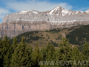 Nombre del archivo=101106_105.jpg
Tamaño del archivo=161Kb
Dimensiones=500x375
Fecha añadida=15 de Noviembre de 11 101106_105.jpg